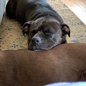 Meet your Posher, Kristan